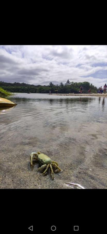 Hostal Estrellas Del Tayrona Playa Mendihuaca Guachaca Kültér fotó